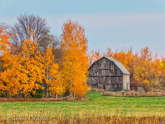 Autumn Barn DSCN38370