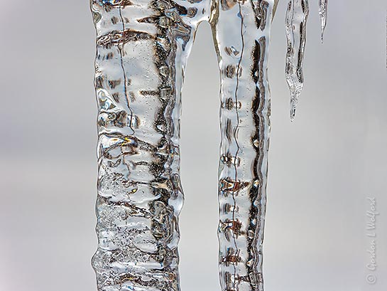 Icicles Closeup DSCN45432