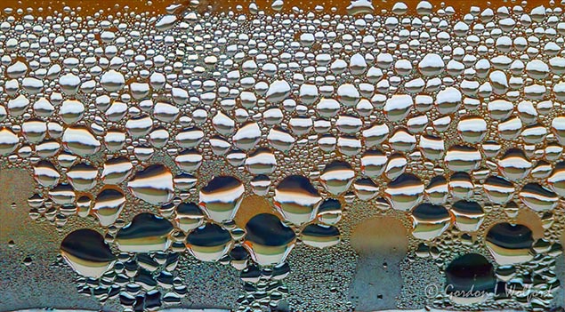 Condensation DSCN46365