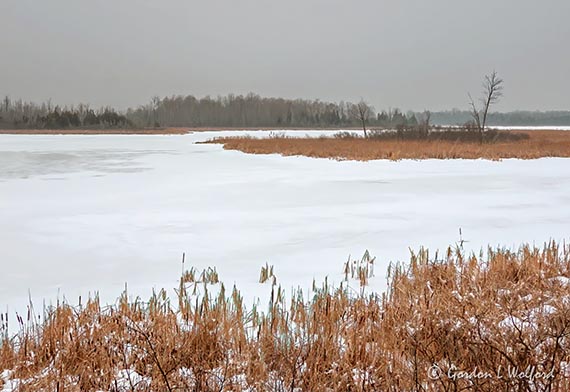 Frozen Swale DSCN48509