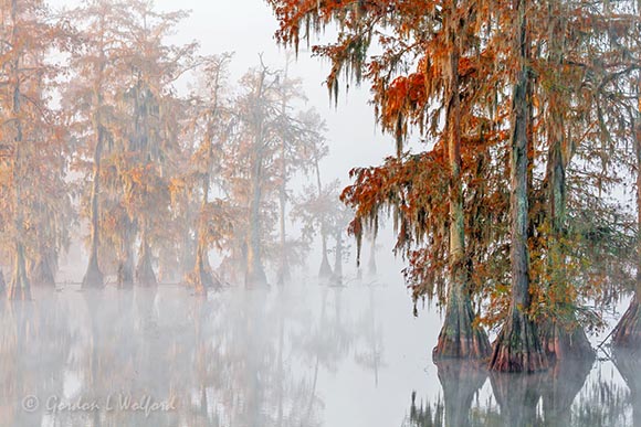 Foggy Autumn Lake Martin Morning 26225