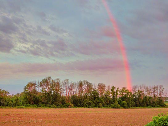 Rainbow At Sunrise DSCN66629