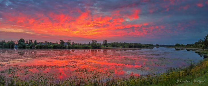 Rideau Canal Sunrise Panorama 90D-00824.29.34