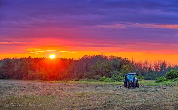 Blue Tractor At Sunrise 90D-01472-4