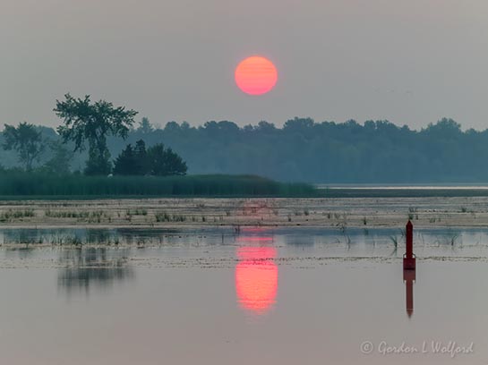 Red Sun Rising P1070086-90