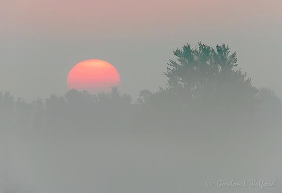Red Sun Rising Through Fog DSCN68623.4