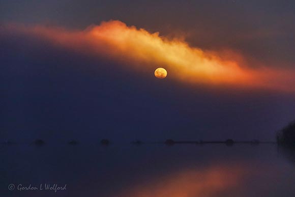 Harvest Full Moon Setting Into Fog 90D05675