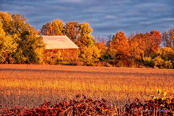 Autumn Barn At Sunrise 90D07323