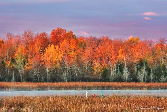 Rideau Canal Autumnscape 90D08269