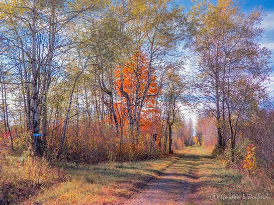 Autumn Cataraqui Trail DSCN75260