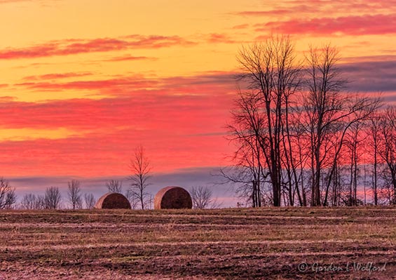 Two Distant Bales At Sunrise DSCN85512