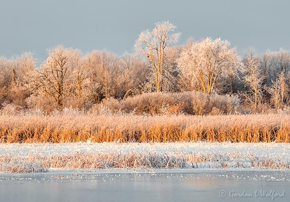 Frosty Far Side Of The Swale DSCN87598