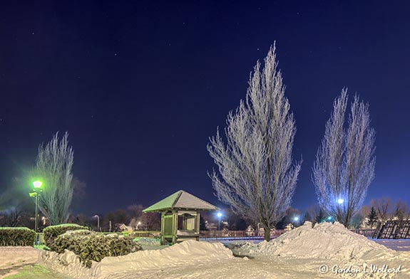 Combined Lock Frosty Trees 90D14184-8