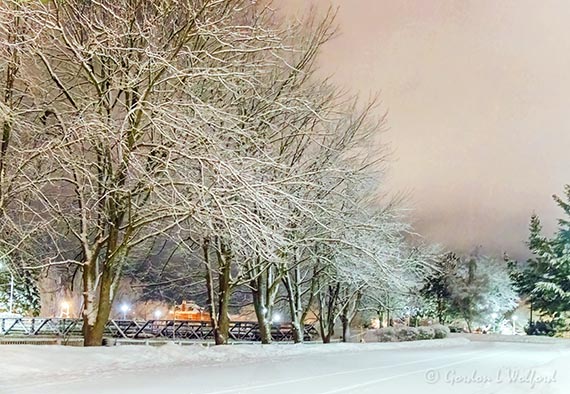 20220203 Snowfall At Night 90D14453