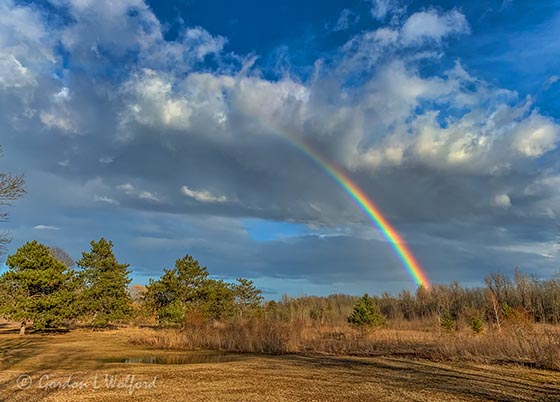 Partial Rainbow iPhoneXR0838