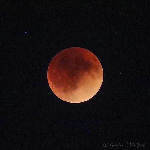 20220515-16 Lunar Eclipse 90D22662