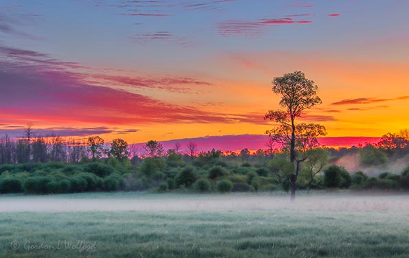 Sunrise Ground Fog 90D23795-9