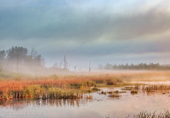 Foggy & Misty Swale At Sunrise 90D24299