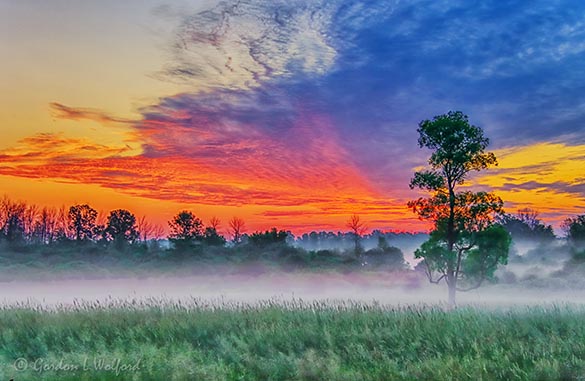 Sunrise Beyond Ground Fog 90D26651-5