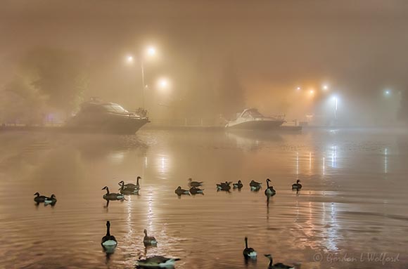 Victoria Basin In Night Fog 90D26834-8