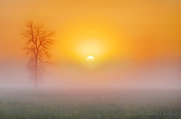 Sun Rising Beyond Fog Bank 90D26914-8