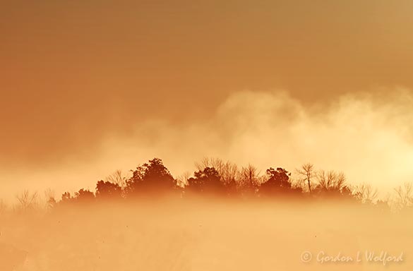 Distant Ground Fog 90D33396-00