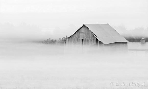 Old Barn In Ground Fog 90D33692BW