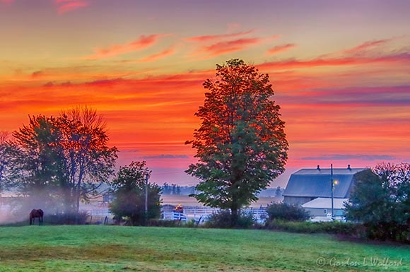 Farm Sunrise 90D33858-62