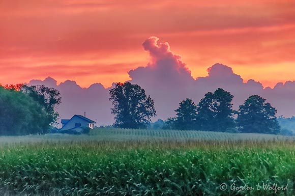 Clouded Sunrise Beyond Cornfield 90D33911-5