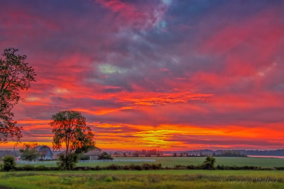 Distant Rideau Canal At Sunrise 90D34537-41