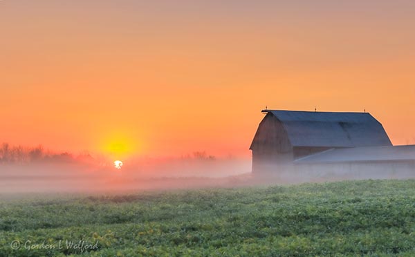 Barn In Sunrise Beyond Ground Fog 90D34667-71