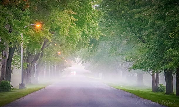 Foggy Lane 90D35313-7