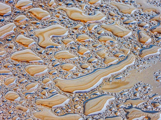 Wet Patio Tabletop Close-up DSCN111339