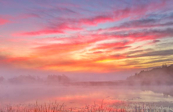 Fog Beyond Misty Irish Creek At Sunrise 90D36900-4