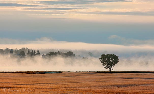 Fog & Mist Beyond Lone Tree 90D37005-9