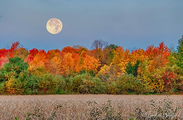 Hunters Moon Setting Beyond Autumnscape 90D37809-13
