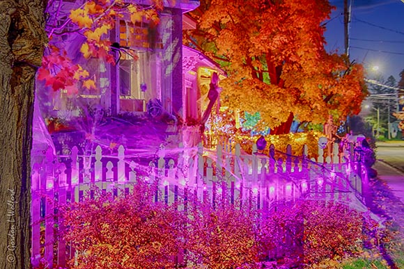 Halloween Lights 90D39103-7