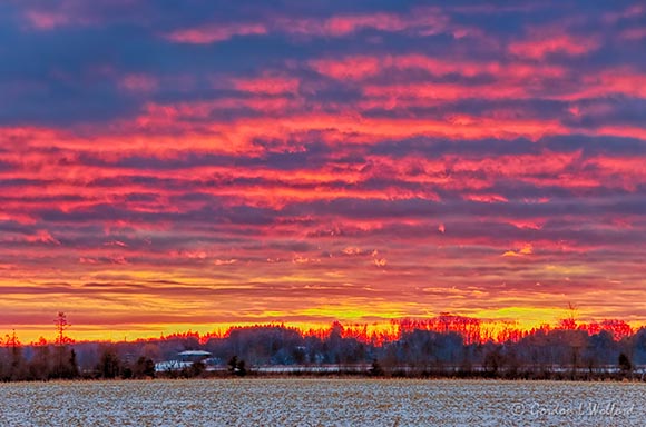 Sunrise Beyond Snowy Field 90D47168-72