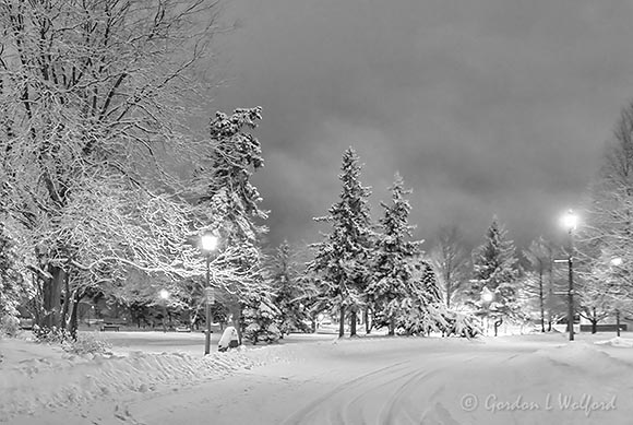 Nighttime Winter Wonderland 90D52342-6BW