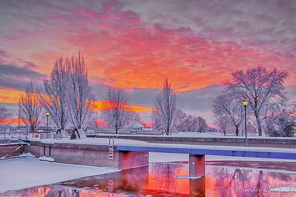 Winter Sunrise Beyond Frosty Trees 90D53995-9