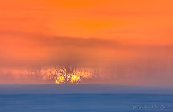 Sunrise Through Ground Fog 90D56917-21