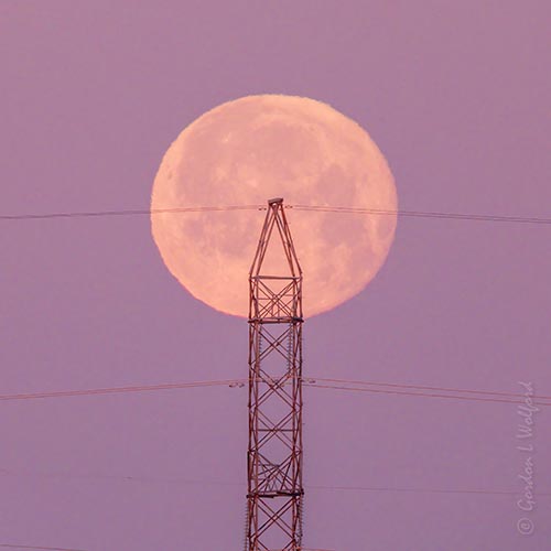 Flower Moon Setting Beyond Hydro Tower At Sunrise DSCN128070