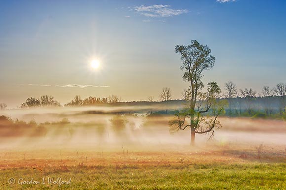 Sun Rising Beyond Ground Fog 90D64647-51