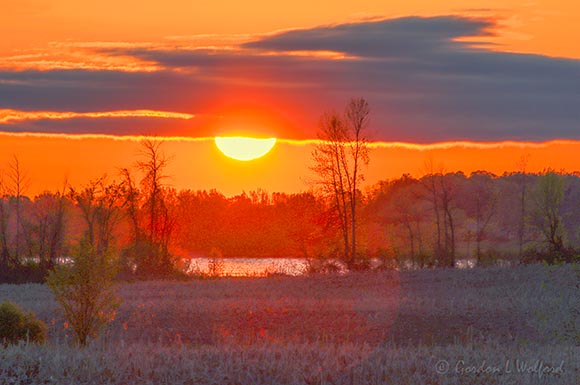 Sunrise Beyond Distant Rideau Canal 90D64877-81