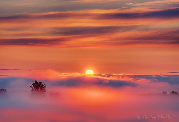 Sunrise Beyond Fog 90D69581-5