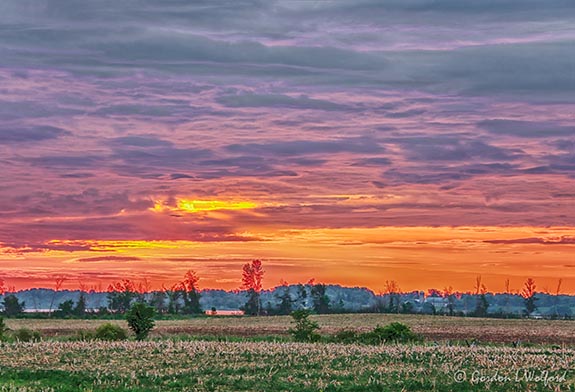 Clouded Sunrise Beyond Distant Rideau Canal 90D70217-21