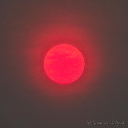 Red Sun Through Wildfire Smoke DSCN135949