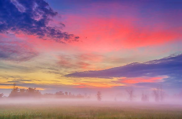 Ground Fog At Sunrise 90D71383-7