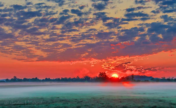 Sunrise Beyond Ground Fog 90D79544-8