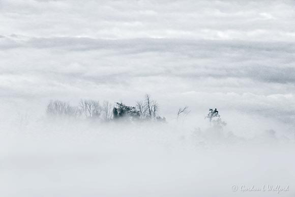 Ground Fog At Otter Creek 90D79714